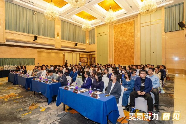 大麥電商代運營