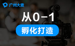 代運(yùn)營公司