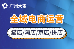電商代運(yùn)營 電商代運(yùn)營